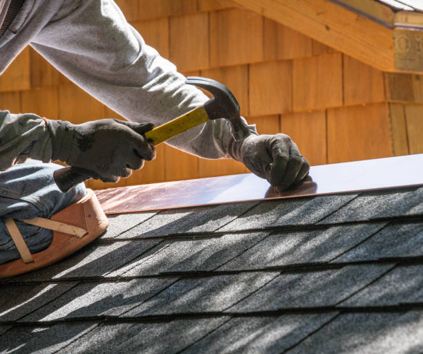 Roof Gutter Cleaning in Williamsburg, IA